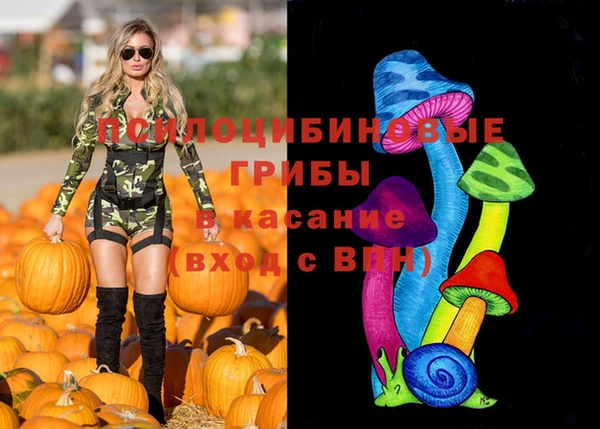 Альфа ПВП Баксан